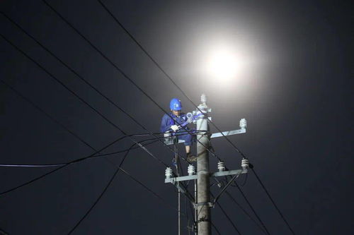恁别急 国网黑龙江电力昼夜抢修送光明